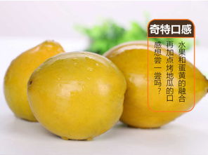 海南雞蛋果（蛋黃果） 應季熱帶珍果，孕婦營養佳選